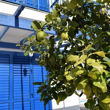 فيلة St. Nicolas 8 - بروتاراس